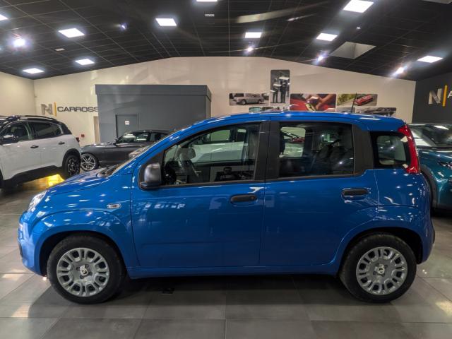 Fiat Panda - 1.0 70 ch Hybrid BSG S/S City